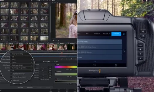 Para que serve o Blackmagic RAW player